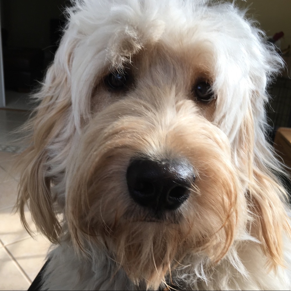 Meet your Posher, Matthew